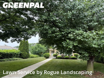 Lawn Mowingin Evanston,60201,Grass Cutting by Rogue Landscaping, work completed in Nov , 2025