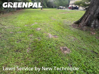 Front Yard Mowing in Longwood, 32779, Yard Upkeep by New Technique, work completed in Nov , 2025