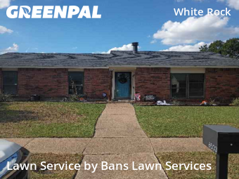 Yard Cutting nearby Dallas, TX, 