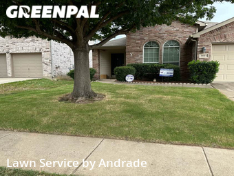 Lawn Cutting nearby Fort Worth, TX, 