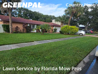 Grass Cut nearby Tampa, FL, 