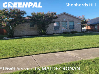 Yard Mowing nearby Frisco, TX, 