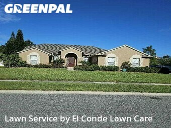 Lawn Cutting nearby Orlando, FL, 