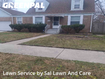 Grass Services in Hammond, 46324, Yard Maintenance by Sal Lawn And Care, work completed in Dec , 2025