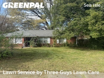 Lawn Maintenance nearby Memphis, TN, 