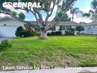 Lawn Service nearby Dunedin, FL, 