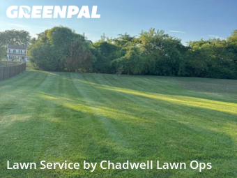 Lawn Mowing nearby St. Peters, MO, 