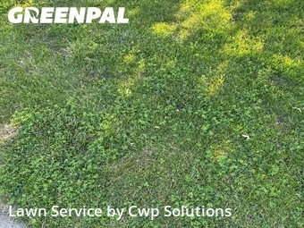 Yard Cutting nearby Richfield, MN, 