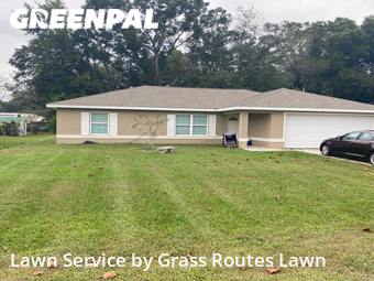 Lawn Mow nearby Summerfield, FL, 