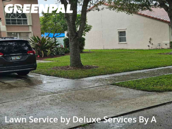 Yard Management in Coconut Creek, 33073, Yard Work by Deluxe Services By A, work completed in Nov , 2025