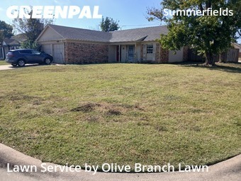 Lawn Cuttingin Fort Worth,76137,Grass Cutting by Olive Branch Lawn, work completed in Nov , 2025