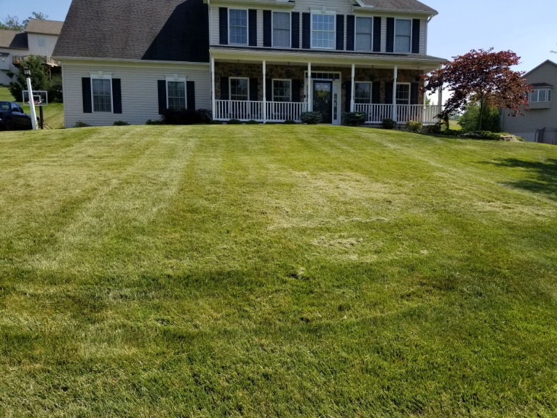 True Lawn Care Lawn Care Services in Essex, MD