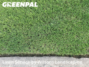 Lawn Care Service nearby Memphis, TN, 