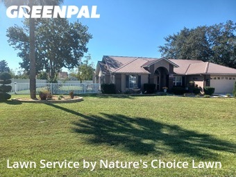 Grass Cut nearby Ocala, FL, 