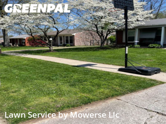 Yard Mowing nearby Louisville, KY, 