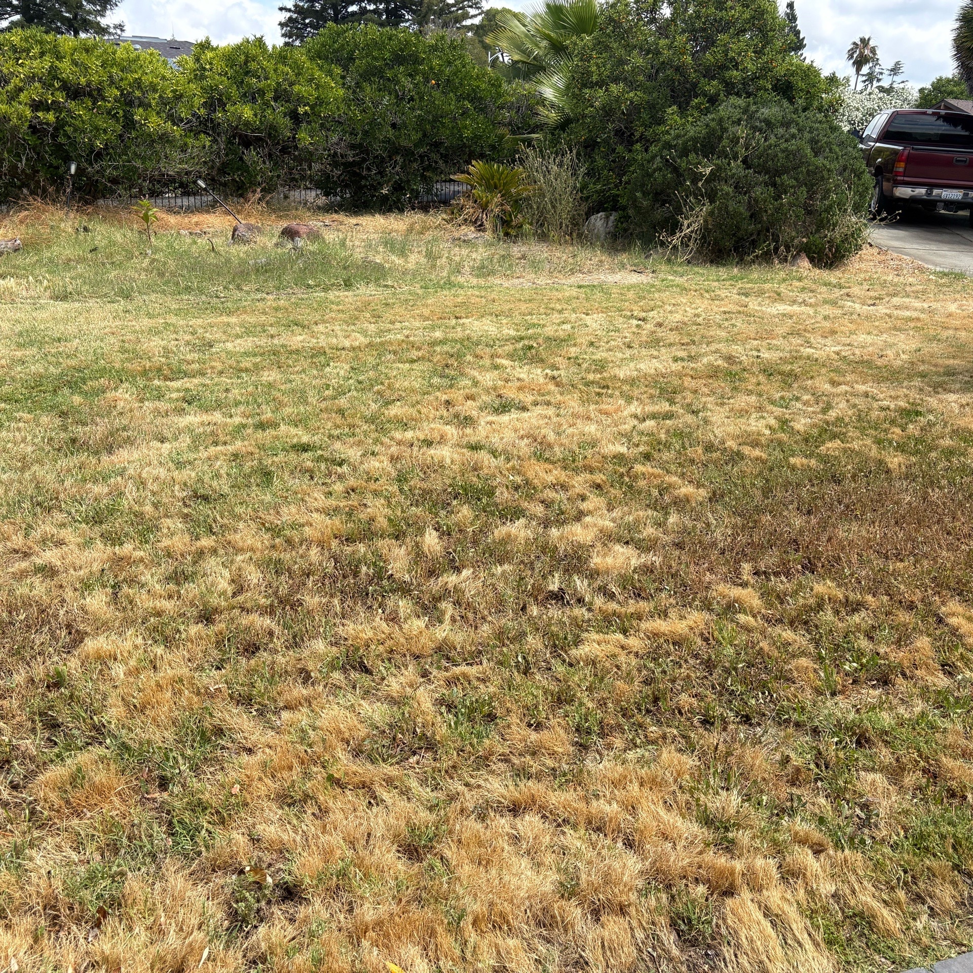 lawn-care-services-in in Arden-Arcade, CA