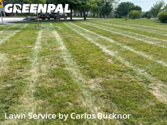 Lawn Cutting nearby Lee's Summit, MO, 