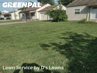 Grass Cut nearby Louisville, KY, 