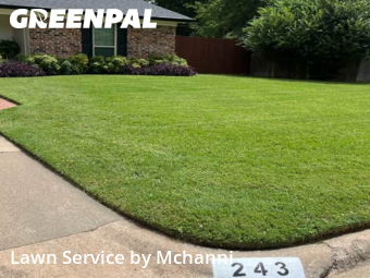 Grass Cuttingin Burleson,76028,Grass Cut by Mchanni, work completed in Nov , 2025