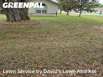 Yard Cutting nearby Ocala, FL, 