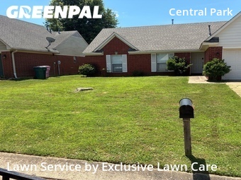 Yard Cutting nearby Southaven, TN, 