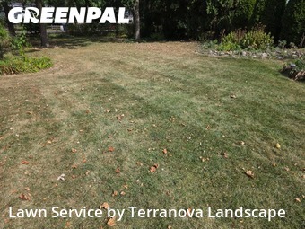 Lawn Services in Lisle, 60532, Lawn Management by Terranova Landscape, work completed in Nov , 2025