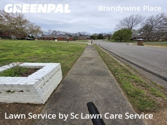 Yard Cutting nearby Old Hickory, TN, 