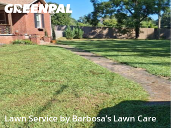 Lawn Mow nearby Asheville, NC, 