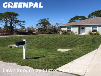 Grass Cut nearby Cape Coral, FL, 