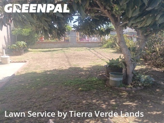 Lawn Cut nearby Rosemead, CA, 