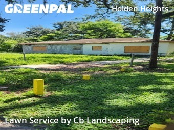 Lawn Mow nearby Orlando, FL, 