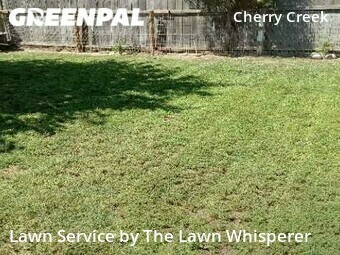 Lawn Care Service nearby Elverta, CA, 