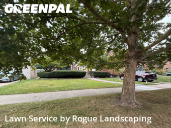 Lawn Cut nearby Oak Park, IL, 