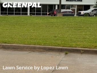 Lawn Cut nearby North Richland Hills, TX, 