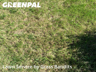 Lawn Mow nearby Billings, MT, 