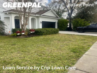 Lawn mowed in Tampa, 33611
