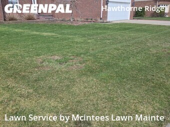 Lawn Mowing Service nearby Flat Rock, MI, 