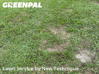 Grass Cuttingin Winter Springs,32708,Lawn Cut by New Technique, work completed in Dec , 2025