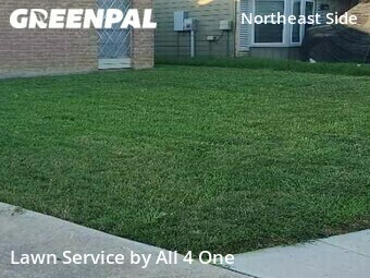 Lawn Cutting nearby Converse, TX, 