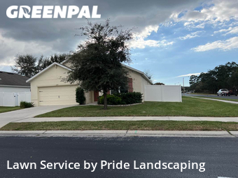 Lawn Cut nearby Spring Hill, FL, 