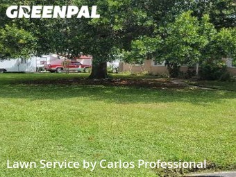 Lawn Care Service nearby South Pasadena, FL, 