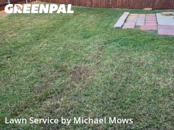 Lawn Cutin Lewisville,75067,Lawn Mow by Michael Mows, work completed in Feb , 2026