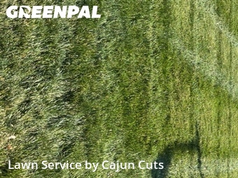 Yard Cutting nearby Murfreesboro, TN, 