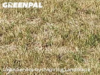 Lawn Mowingin Centennial,80015,Lawn Mowing by Inspiring Landscape, work completed in Feb , 2026