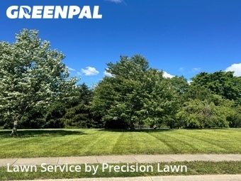 Lawn mowed in Burlington, 41005