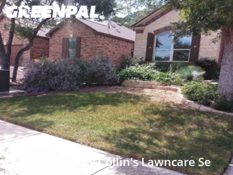 Work completed by grass-cutting-businesses-in-San Marcos-CA
