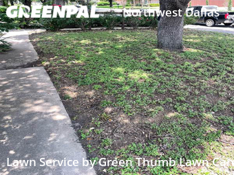 Lawn Mow nearby Dallas, TX, 