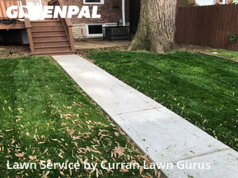 Lawn Maintenance nearby St. Louis, IL, 
