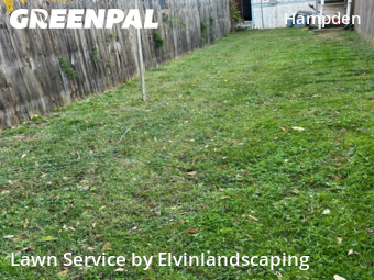 Affordable Landscaping Maintenance Services In Baltimore,21211,Landscaping Cleanup by Elvinlandscaping, work completed in Nov , 2025