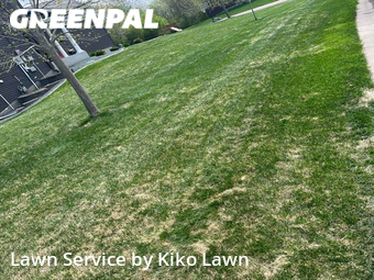 Grass Cutting nearby Blaine, MN, 